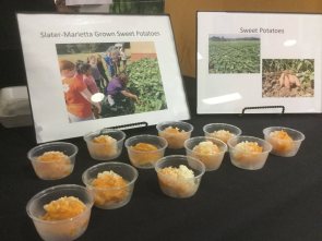 15195887_575657815972502_3042307057346908901_o