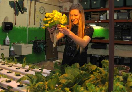 hydroponics SAE project