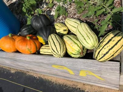 21192762_1863359707014577_4104292490504018530_n