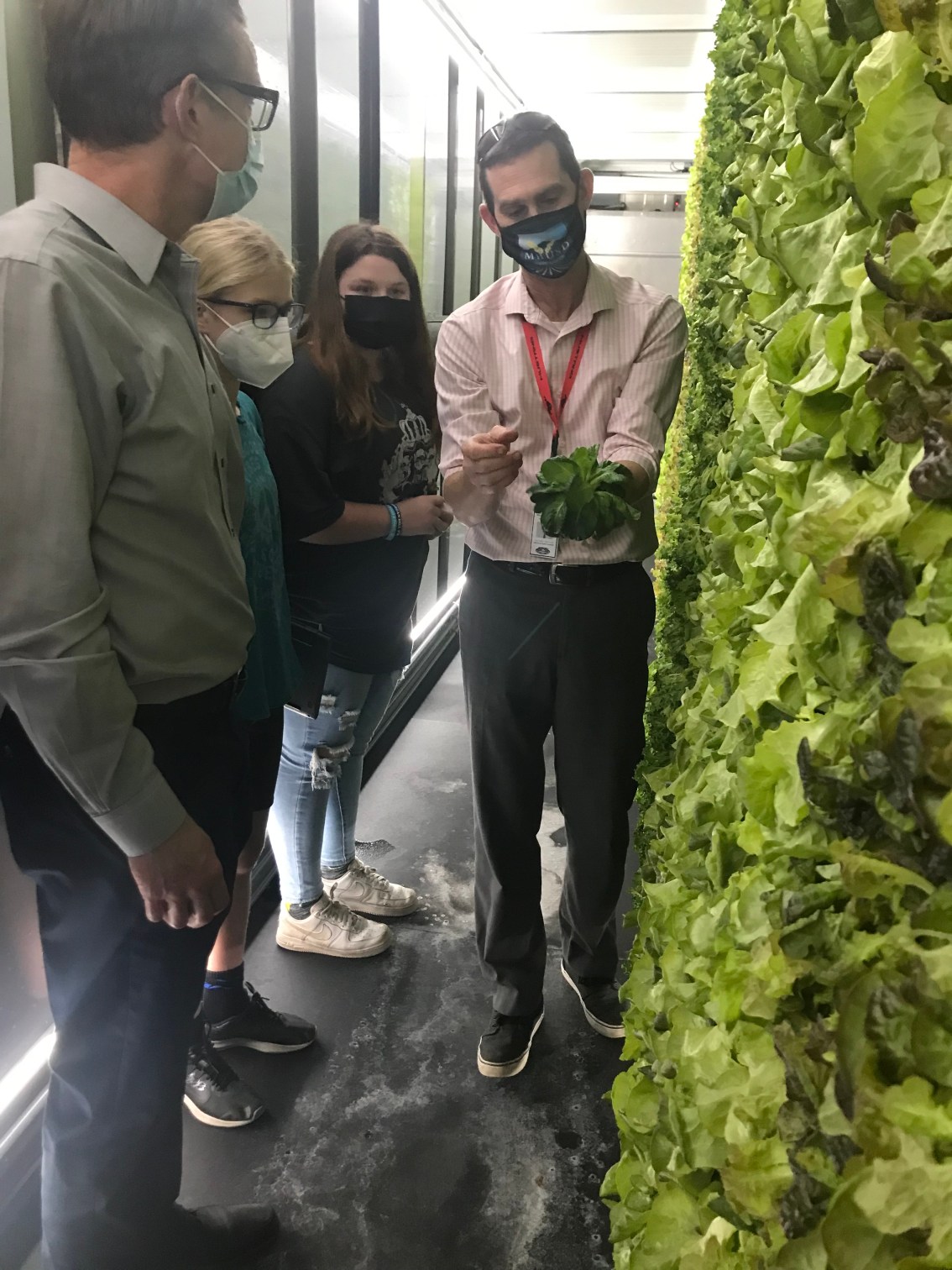 Lettuce for CA district grown in freight&nbsp;farms