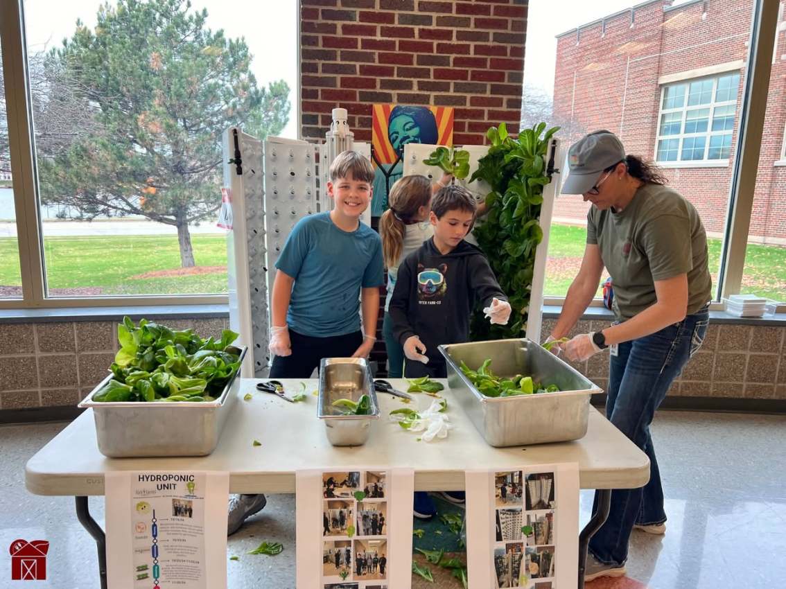 Hydroponic Gardens Sprouting in&nbsp;Schools